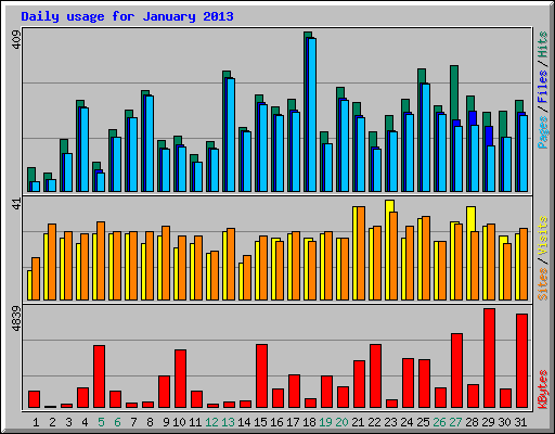 Daily usage for January 2013