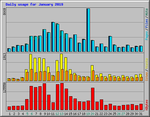 Daily usage for January 2019