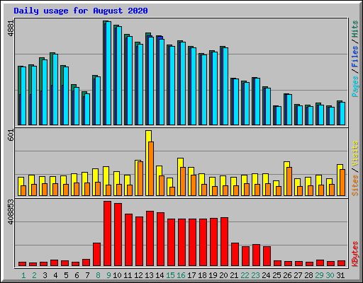 Daily usage for August 2020