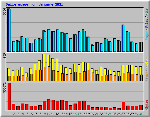 Daily usage for January 2021