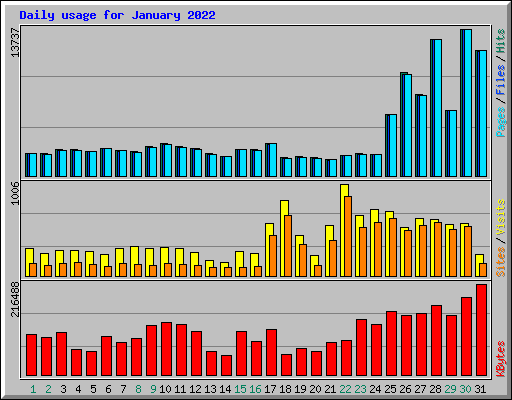 Daily usage for January 2022