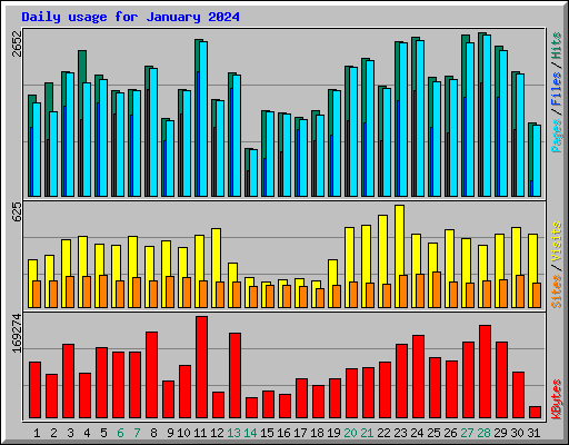 Daily usage for January 2024