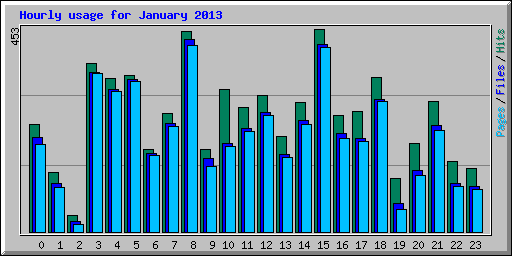 Hourly usage for January 2013