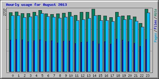 Hourly usage for August 2013