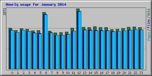 Hourly usage for January 2014