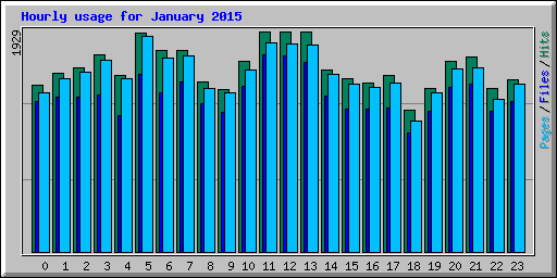 Hourly usage for January 2015