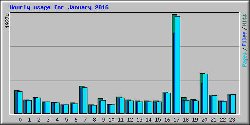 Hourly usage for January 2016
