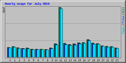 Hourly usage for July 2016