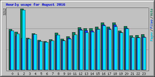 Hourly usage for August 2016