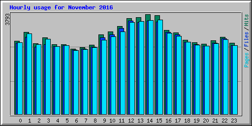 Hourly usage for November 2016
