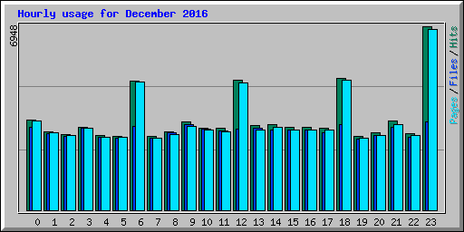 Hourly usage for December 2016