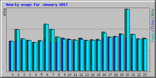 Hourly usage for January 2017