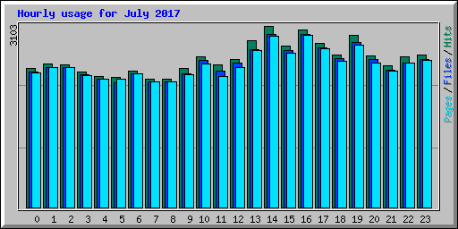 Hourly usage for July 2017