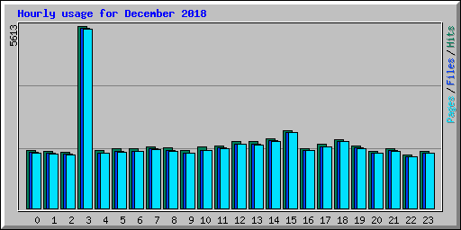 Hourly usage for December 2018