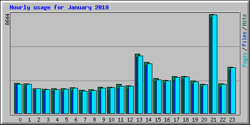 Hourly usage for January 2019