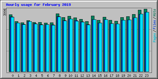 Hourly usage for February 2019