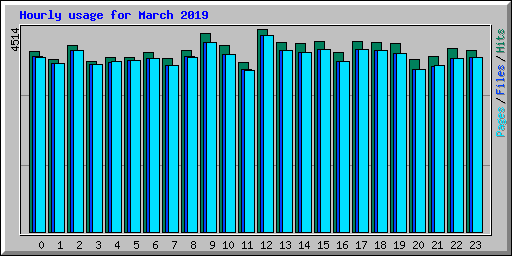 Hourly usage for March 2019