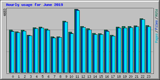 Hourly usage for June 2019
