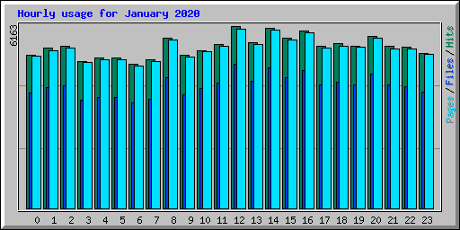 Hourly usage for January 2020