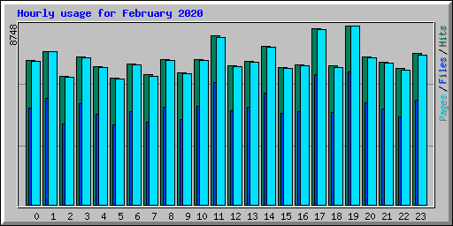 Hourly usage for February 2020
