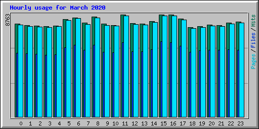 Hourly usage for March 2020