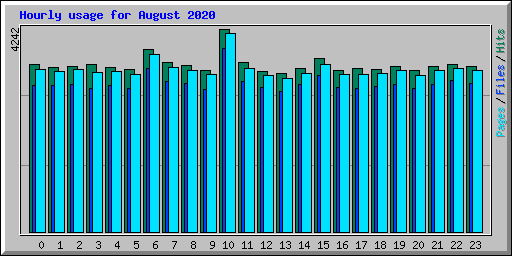 Hourly usage for August 2020