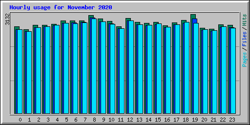 Hourly usage for November 2020