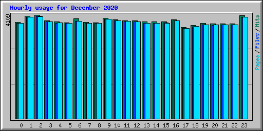 Hourly usage for December 2020