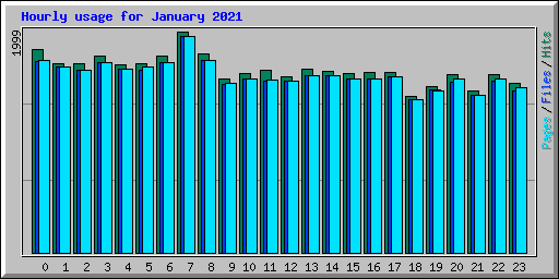 Hourly usage for January 2021