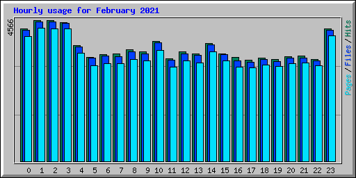Hourly usage for February 2021