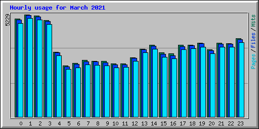 Hourly usage for March 2021