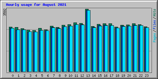 Hourly usage for August 2021