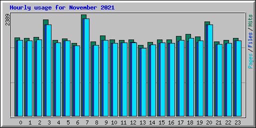 Hourly usage for November 2021