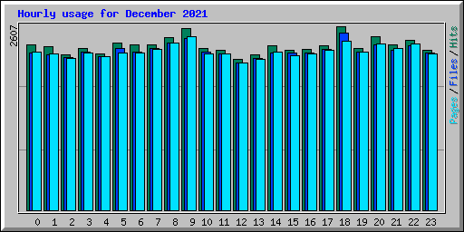 Hourly usage for December 2021