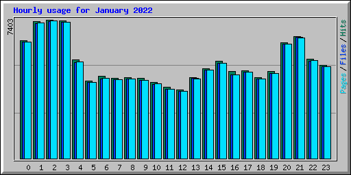 Hourly usage for January 2022