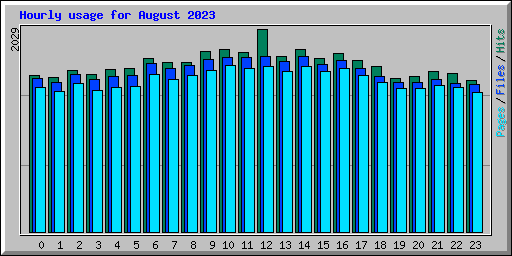 Hourly usage for August 2023