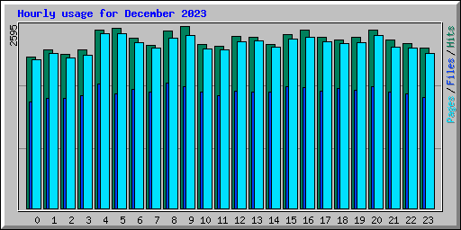 Hourly usage for December 2023