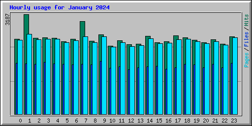 Hourly usage for January 2024
