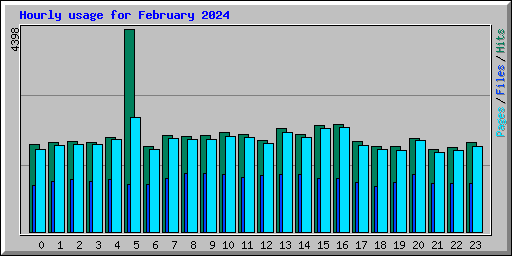 Hourly usage for February 2024
