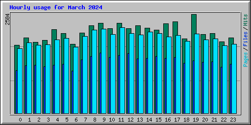 Hourly usage for March 2024