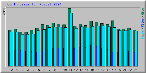 Hourly usage for August 2024