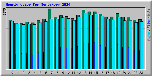 Hourly usage for September 2024