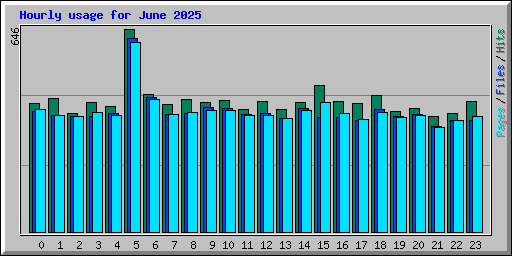Hourly usage for June 2025