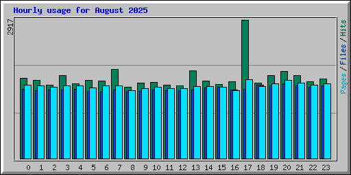 Hourly usage for August 2025