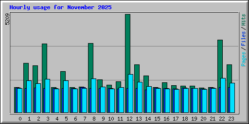 Hourly usage for November 2025