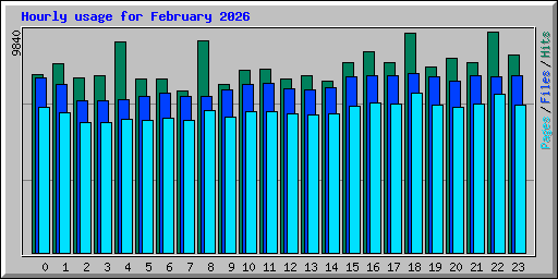 Hourly usage for February 2026