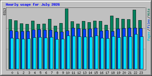 Hourly usage for July 2026